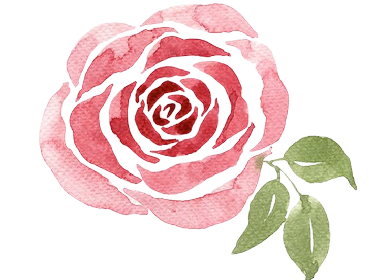 Watercolour rose